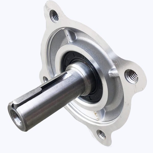 BEYGİR 20mm Kamalı Benzinli Motor - Görsel 3